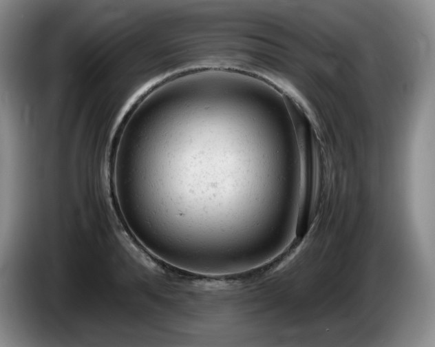 X0000085010896200703121519