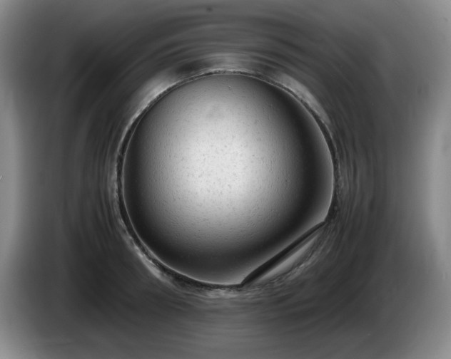 X0000085010898200703121519