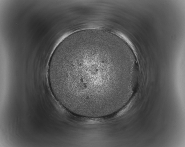 X0000085010899200703121519