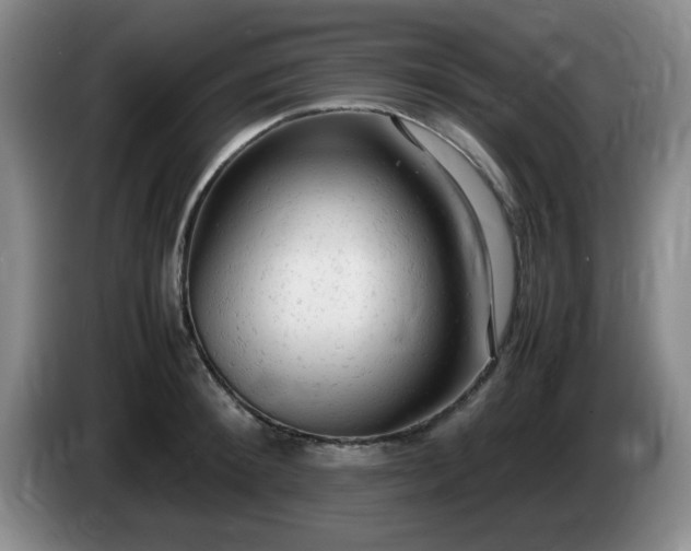X0000085010900200703121519
