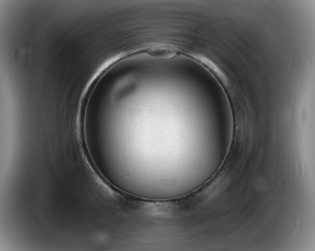 X0000085010902200703121519