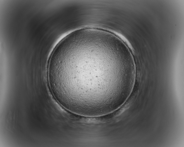 X0000085010903200703121519