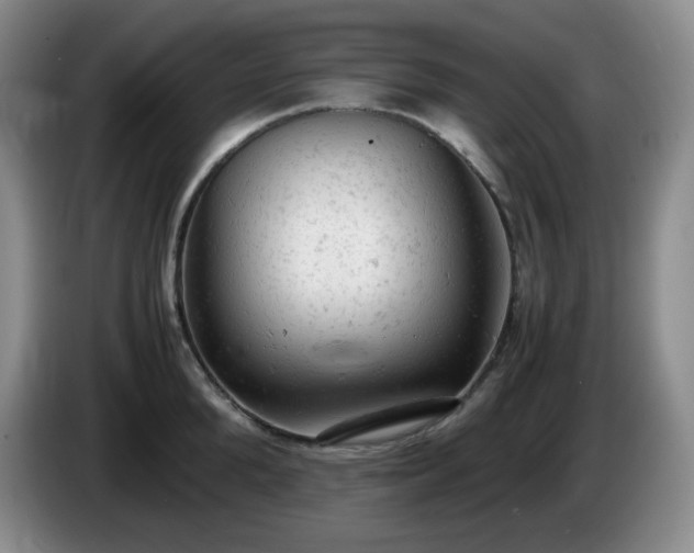 X0000085010904200703121519