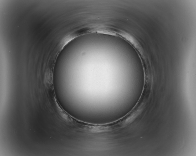 X0000085010905200703121519