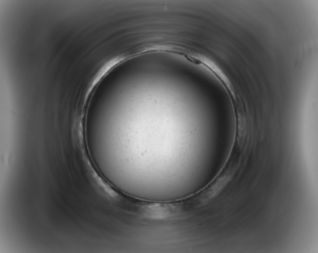 X0000085010906200703121519