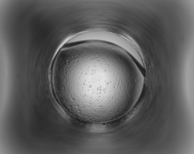 X0000085010907200703121519