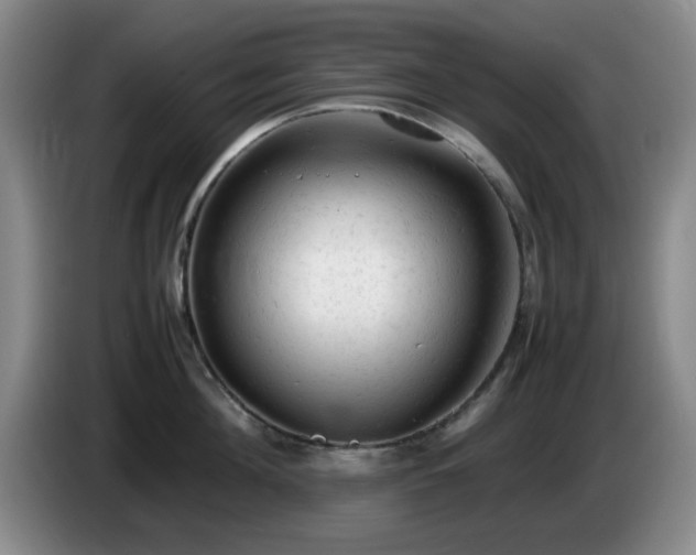 X0000085010908200703121519