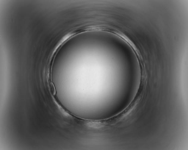 X0000085010909200703121519