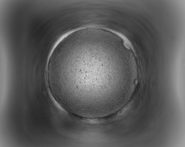 X0000085010911200703121519