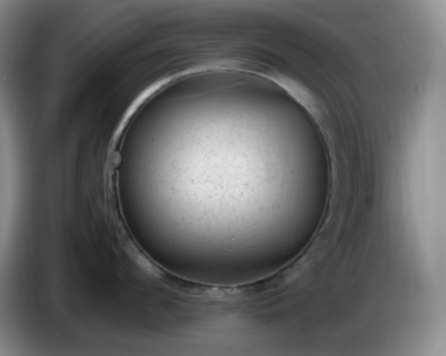 X0000085010912200703121519