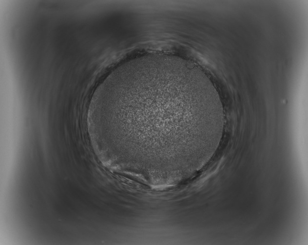 X0000085010913200703121518