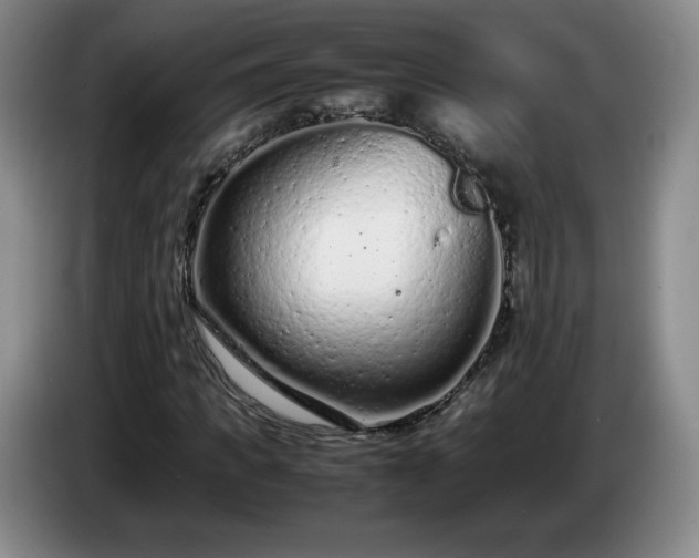 X0000085010917200703121518