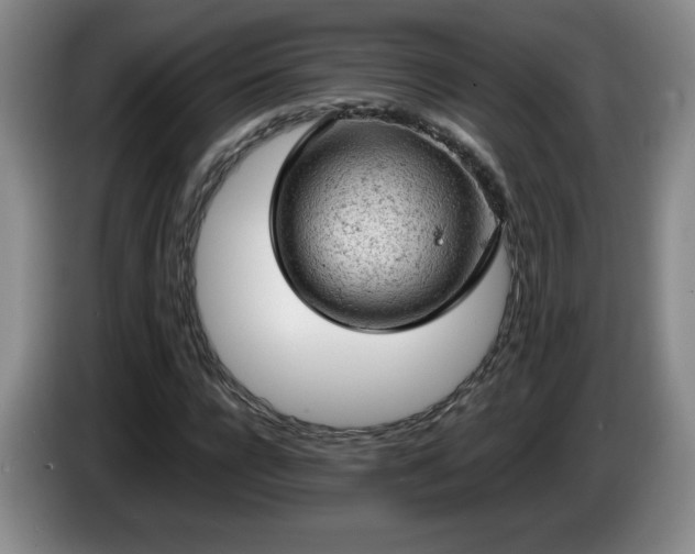 X0000085010920200703121518