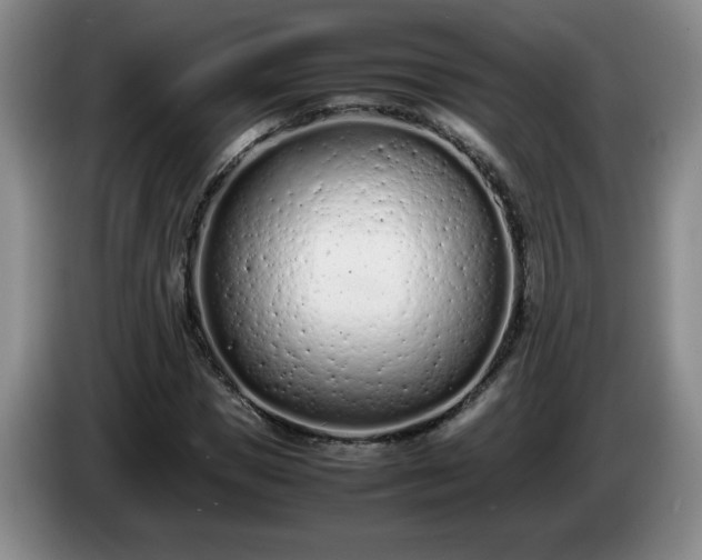 X0000085010921200703121518