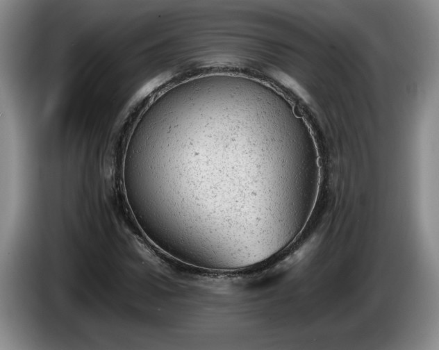 X0000085010922200703121518