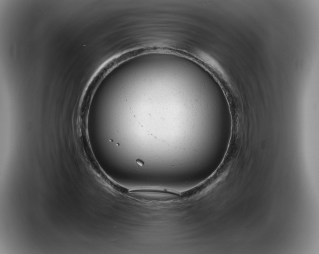 X0000085010924200703121518