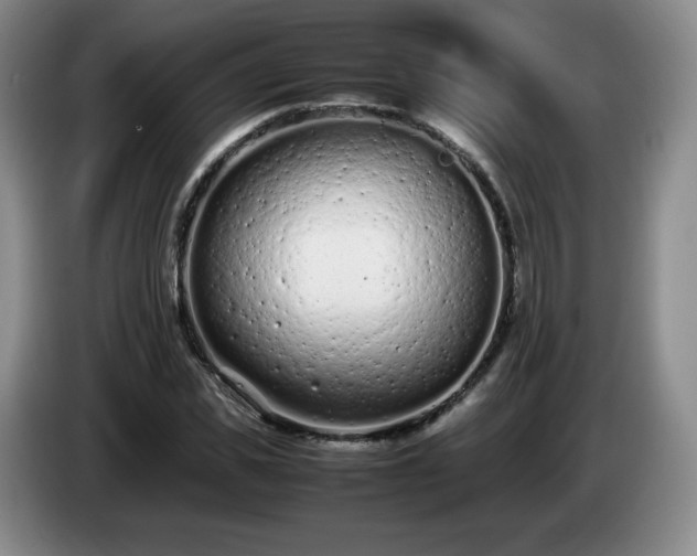 X0000085010925200703121518