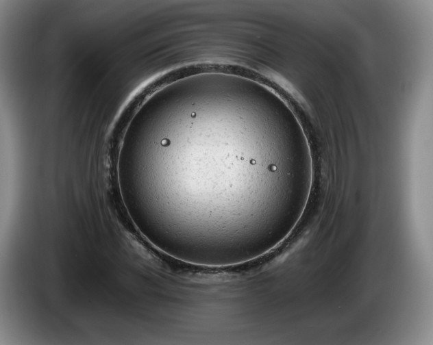 X0000085010926200703121518