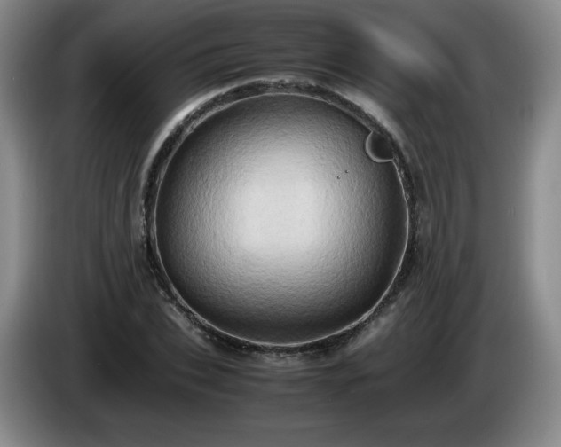 X0000085010927200703121518