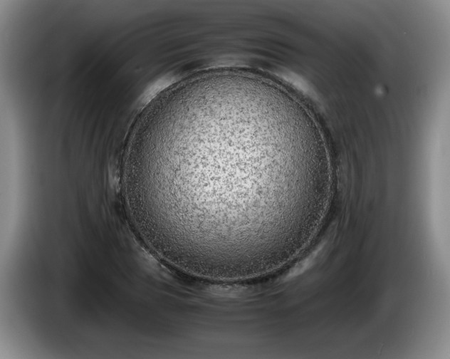 X0000085010929200703121518
