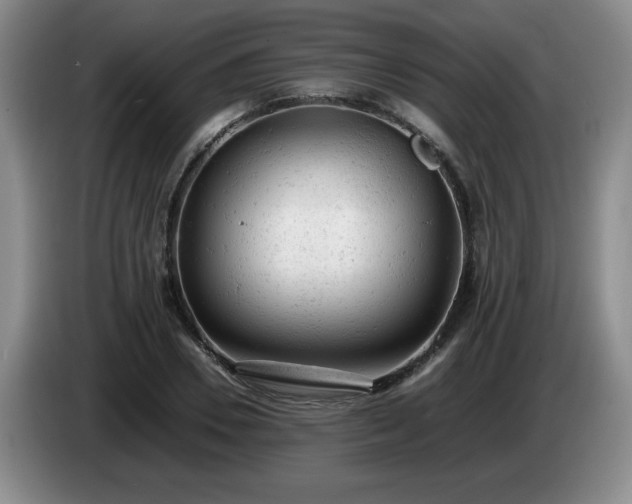 X0000085010930200703121518
