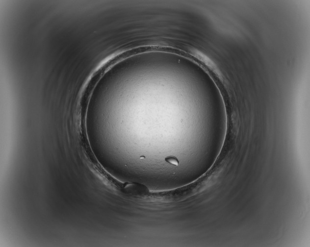 X0000085010931200703121518
