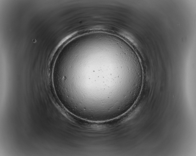 X0000085010933200703121518