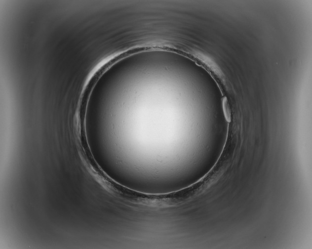 X0000085010936200703121518