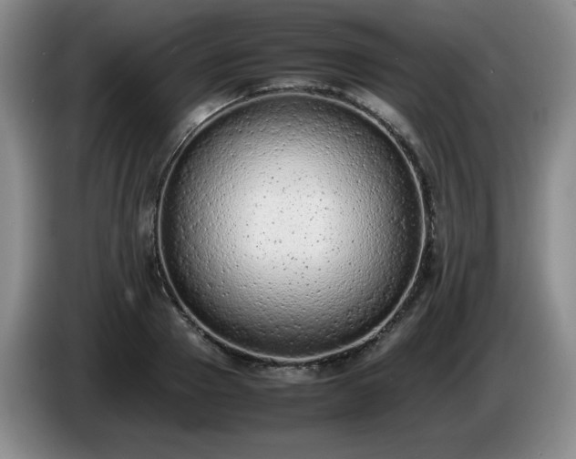 X0000085010937200703121518