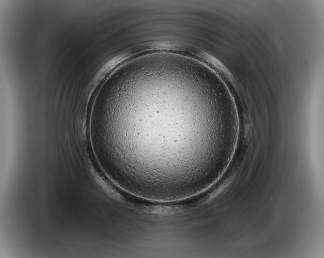 X0000085010938200703121518