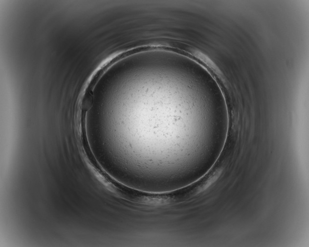 X0000085010939200703121518