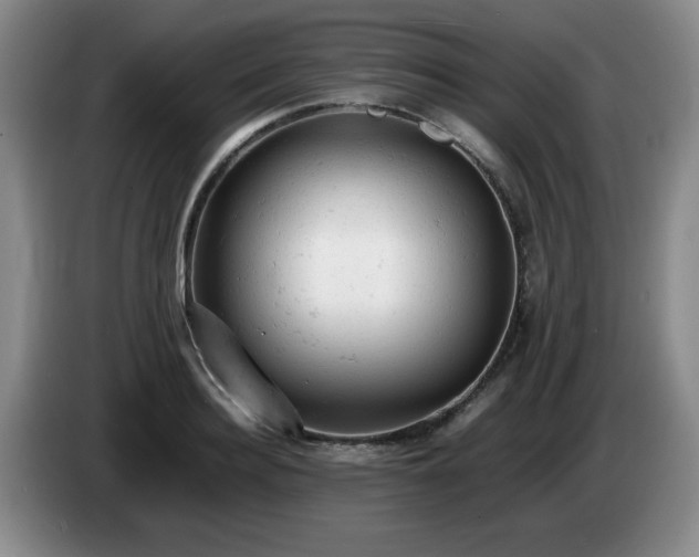 X0000085010940200703121518