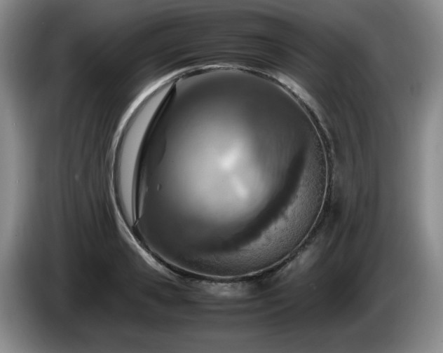 X0000085010941200703121518