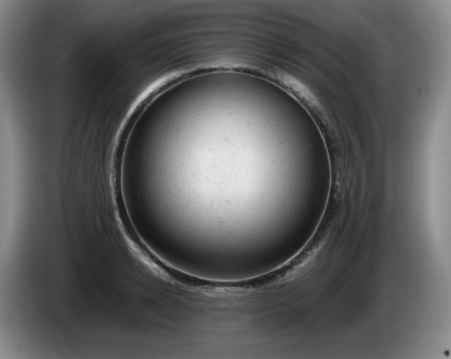 X0000085010942200703121518