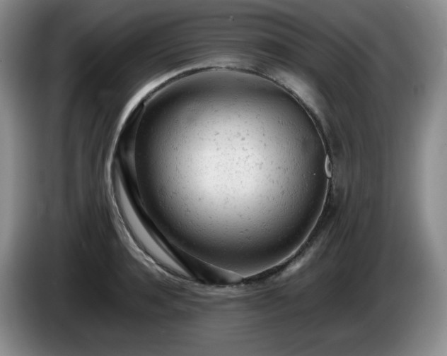 X0000085010944200703121518