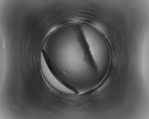 X0000085010945200703121518
