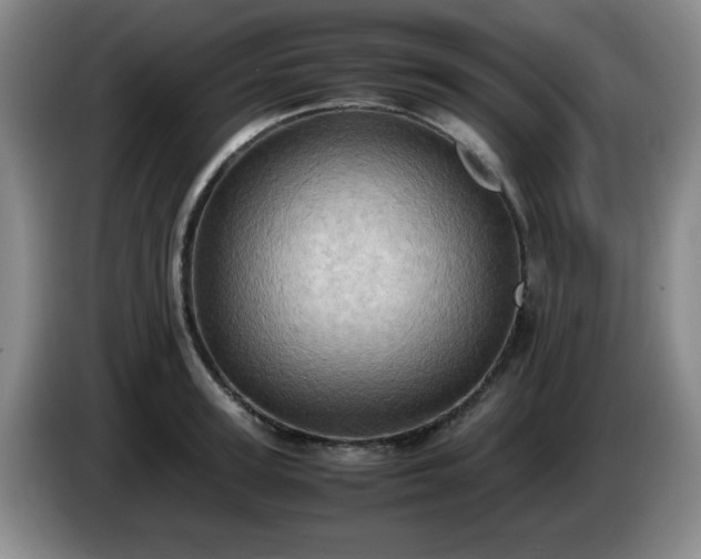 X0000085010947200703121518
