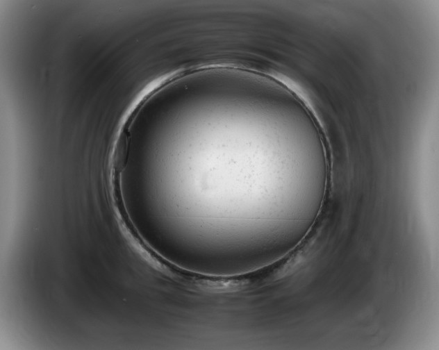 X0000085010949200703121519