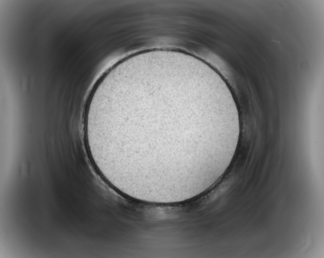 X0000085010950200703121519