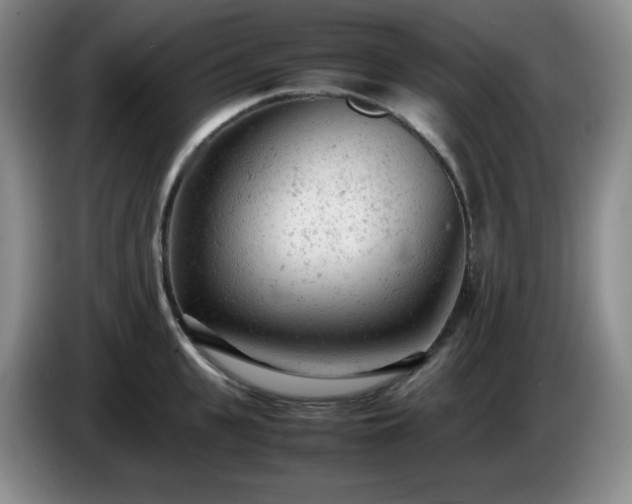 X0000085010951200703121519