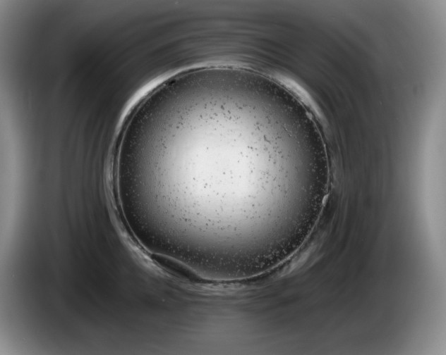 X0000085010952200703121519
