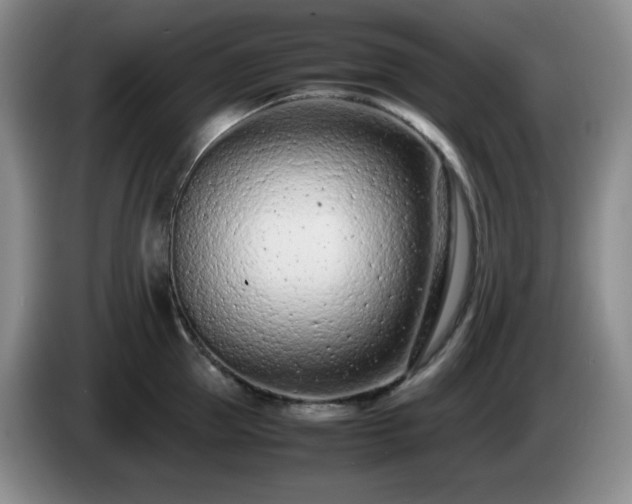 X0000085010953200703121519