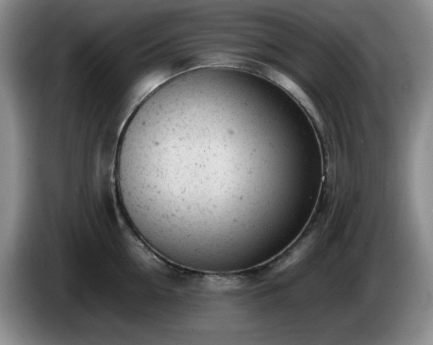 X0000085010954200703121519