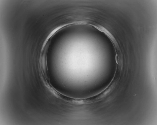 X0000085010956200703121519