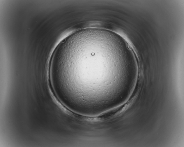 X0000085010957200703121519