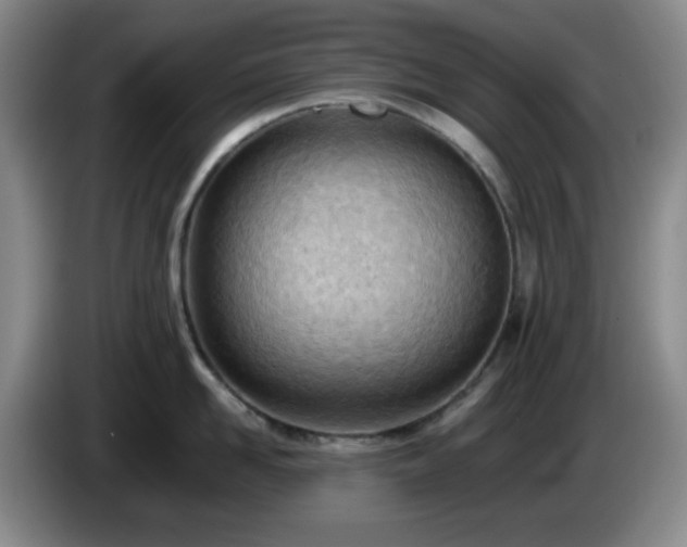 X0000085010958200703121519