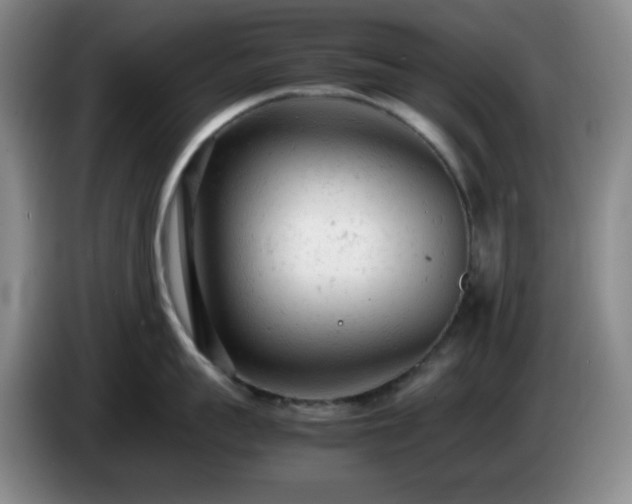 X0000085010959200703121519