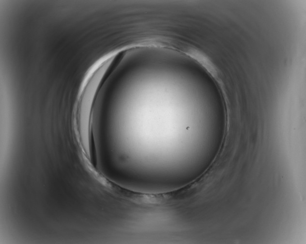 X0000085010960200703121519