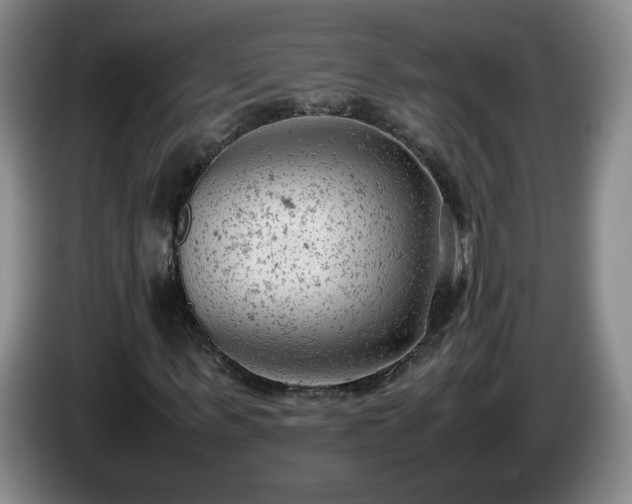 X0000085010963200703121518