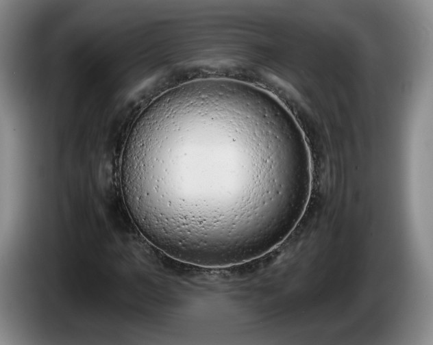 X0000085010966200703121518